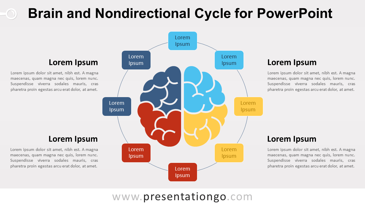 PowerPoint的大脑和非定向循环